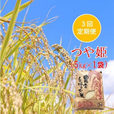 【発送月固定定期便】つや姫 精米 5kg　佐藤全3回