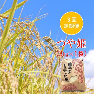 【発送月固定定期便】つや姫 精米 3kg　佐藤全3回