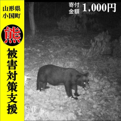 【返礼品なし】熊被害対策支援(山形県小国町)1,000円