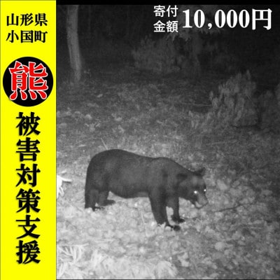 【返礼品なし】熊被害対策支援(山形県小国町)10,000円
