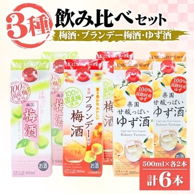梅酒・ゆず酒　500mlパック　6本セット(3種類×各2本)