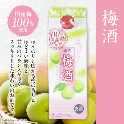 梅酒・ゆず酒　500mlパック　6本セット(3種類×各2本)