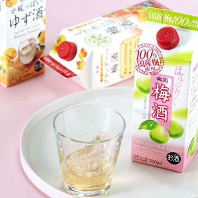 梅酒・ゆず酒　500mlパック　6本セット(3種類×各2本)