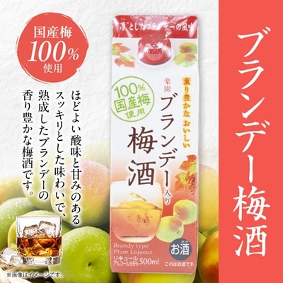 梅酒・ゆず酒　500mlパック　6本セット(3種類×各2本)