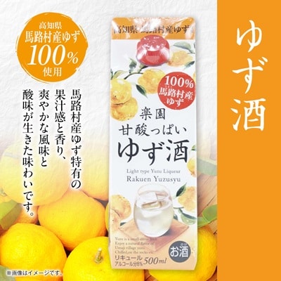 梅酒・ゆず酒　500mlパック　6本セット(3種類×各2本)
