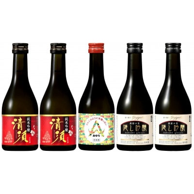 【清須市の地酒】飲み比べ5本セット 300ml
