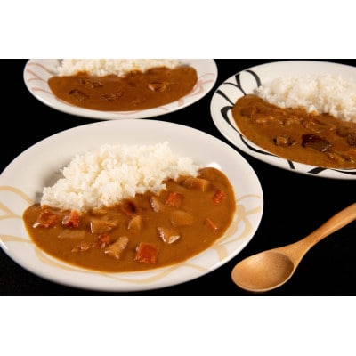 清洲城信長カレー3種　6個セット