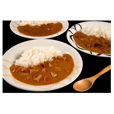 清洲城信長カレー3種　12個セット