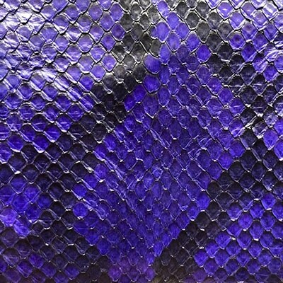 NYATTU PROJECT　天然パイソン革(ヘビ革)フラグメントケース(ポーチ)グレープダイヤ