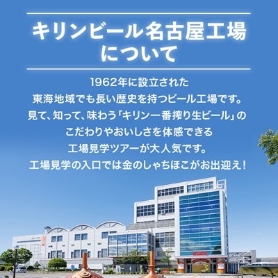 キリン 氷結 無糖レモン Alc4% 350ml 1ケース (24本)　チューハイレモン