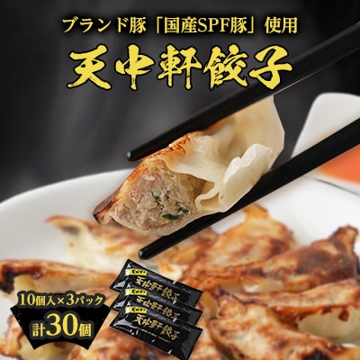 天中軒の冷凍餃子　3パック