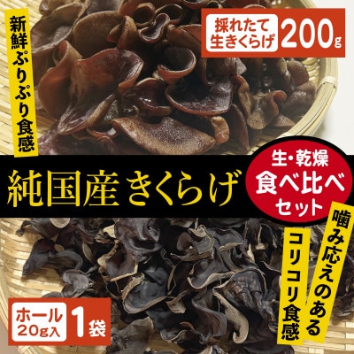 純国産きくらげ　生・乾燥セット