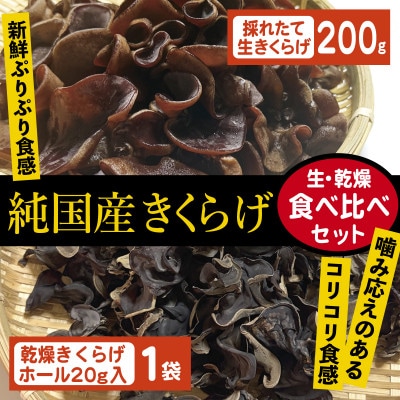 純国産きくらげ　生・乾燥セット