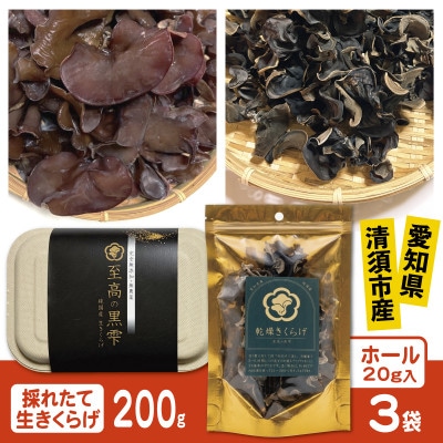 純国産きくらげ　生・乾燥セット