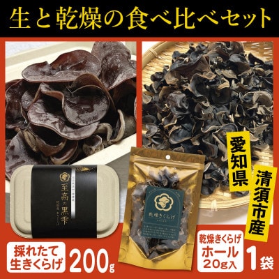 純国産きくらげ　生・乾燥セット