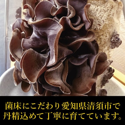 純国産きくらげ　生・乾燥セット