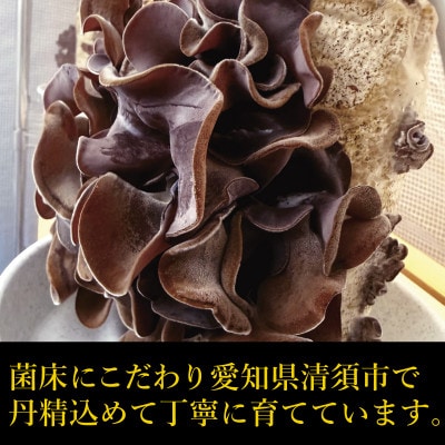 純国産　新鮮生きくらげ