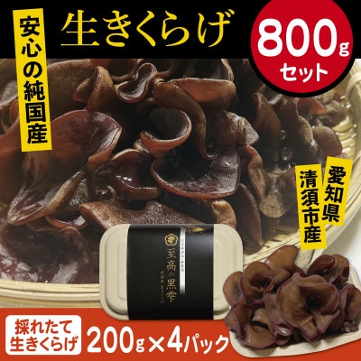 純国産　新鮮生きくらげ