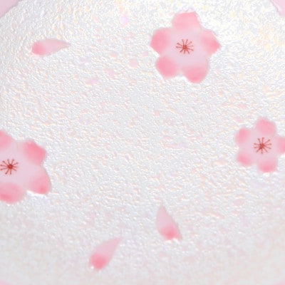 【有田焼】田清窯　薄ピンク釉虹彩桜雪輪皿