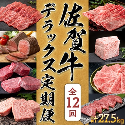 【発送月固定定期便】佐賀牛デラックス定期便毎月届く全12回