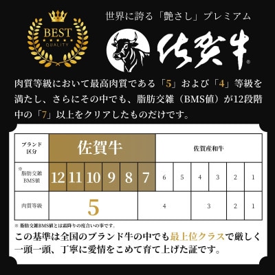 【発送月固定定期便】佐賀牛 ヒレステーキ300g(2枚合計)【希少部位のフィレをお届け】全6回