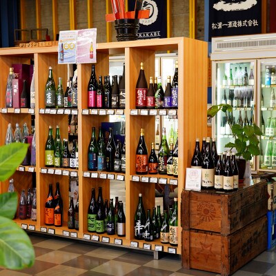 さがん酒　七田  東一  純米　1.8L×2本　飲み比べ　日本酒　限定