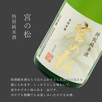 佐賀の日本酒 有田の蔵元　松尾酒造場【宮の松 純米大吟醸】【宮の松 純米吟醸】【宮の松 特別純米酒】