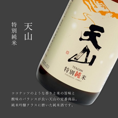 《厳選》佐賀の日本酒　天山酒造の飲み比べ　七田 天山　720ml×2本