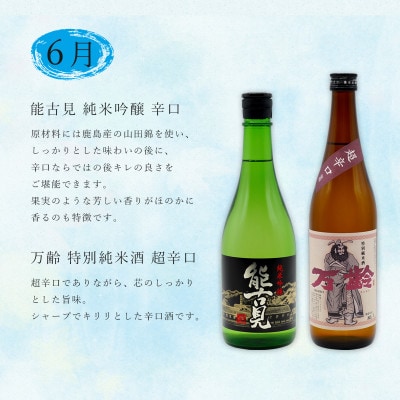 【発送月固定定期便】佐賀の日本酒　地酒飲み比べ　720ml×2本全4回