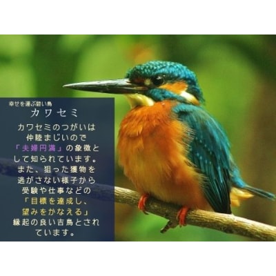 有田焼 カワセミ 醤油さし