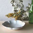 有田焼　白釉縁錆変形パスタ・カレー皿【福泉窯xARITAYAKI-STORE】SABIシリーズ