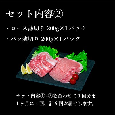 【毎月定期便】ありたぶた定番商品5種セット(Bセット)全6回