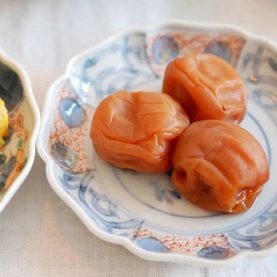 有田焼 色絵兎 小皿【まるぶん】 A10-281 (有田町)