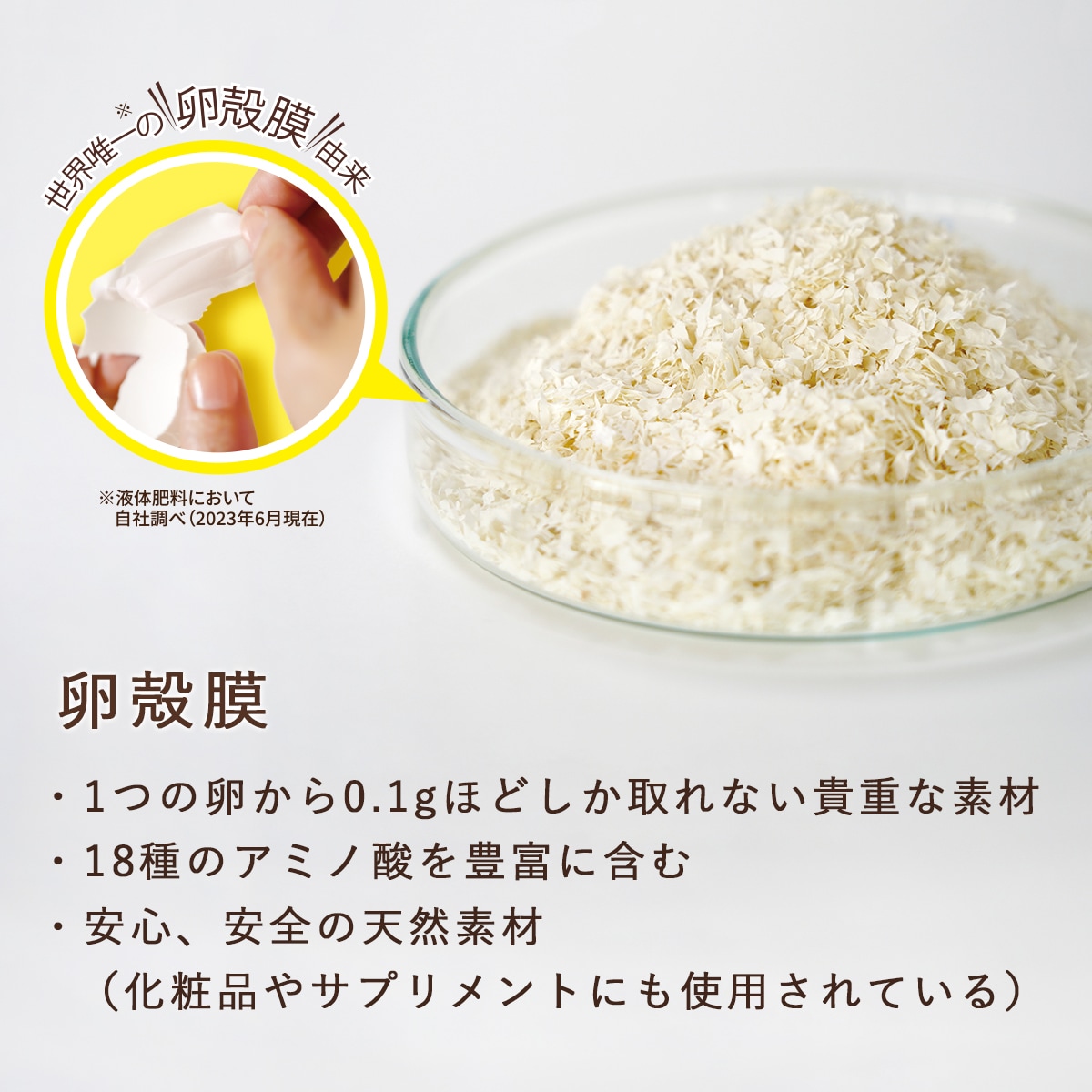 「たまごの液肥」オーガナブル(すべての家庭園芸用)800ml 2本セット