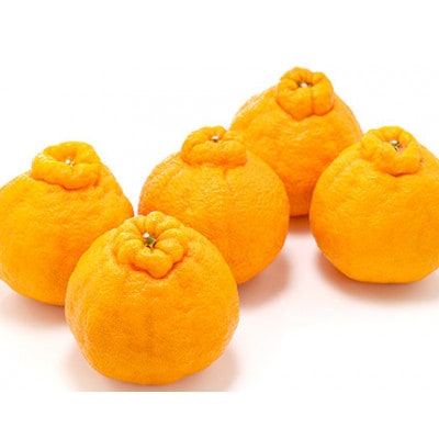 佐賀の旬!佐賀県産 不知火 約5kg(有田町)