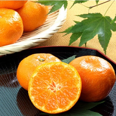 夏の贅沢!佐賀県産ハウスみかん 約1kg(有田町)