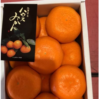 夏の贅沢!佐賀県産ハウスみかん 約1kg(有田町)