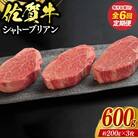 【毎月定期便】佐賀牛シャトーブリアン 600g(有田町)全6回