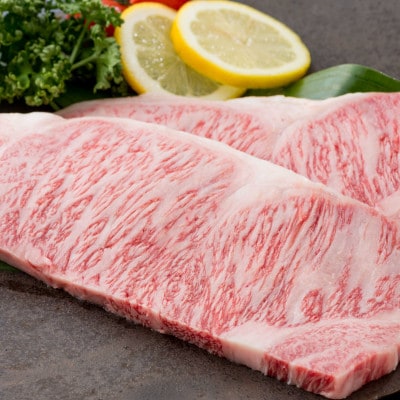 佐賀牛サーロインステーキ(200g×2枚)&佐賀県産和牛ウデ(しゃぶしゃぶ・すき焼き用)500g