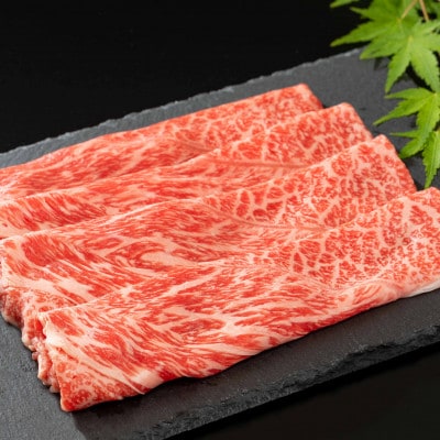 佐賀牛サーロインステーキ(200g×2枚)&佐賀県産和牛ウデ(しゃぶしゃぶ・すき焼き用)500g