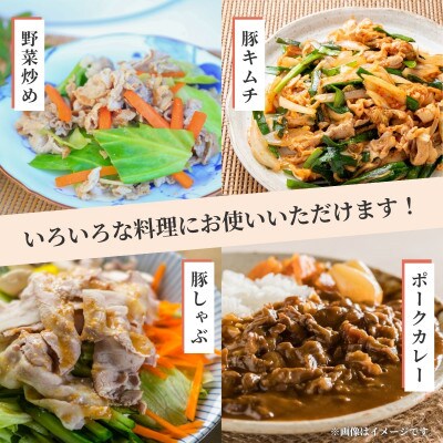 【計1.5kg!真空個包装で便利】ありたぶた 赤身モモ肉 切り落とし 250g×6パック 1.5kg