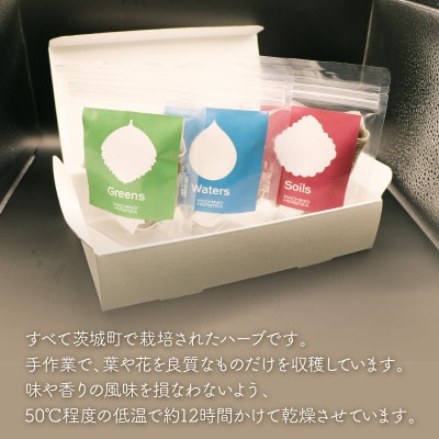 マチノハーブティー袋パック3種