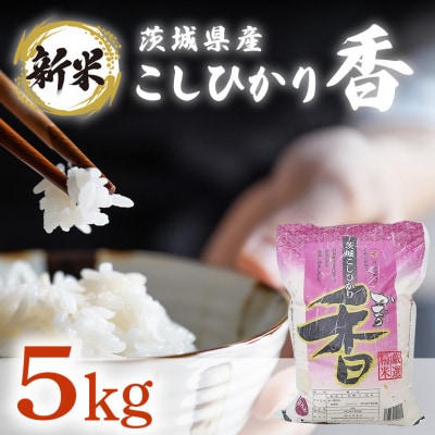 【令和7年産】茨城県産米　こしひかり香　5kg