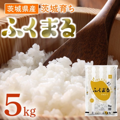 Amazon.co.jp: ishizaki【精米】令和6年産 茨城県産ふくまる (10