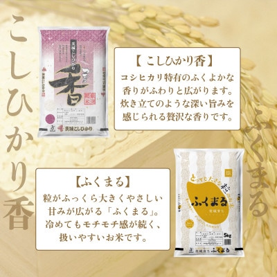 【令和7年産】茨城県産米　こしひかり香&茨城育ちふくまるセット　(各5kg)