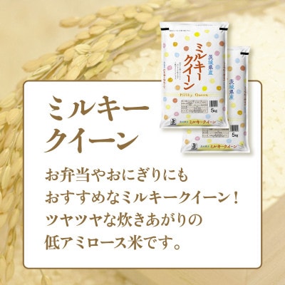 【令和7年産】茨城県産　ミルキークイーン　5kg×2袋(計10kg)