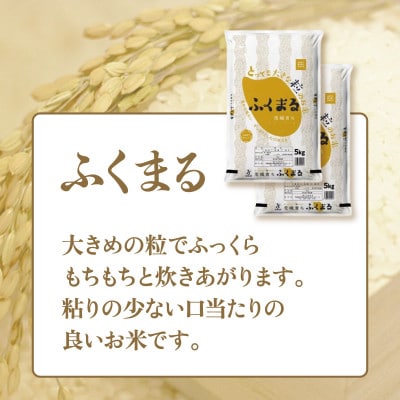 【令和7年産】茨城県産　ふくまる　5kg×2袋(計10kg)