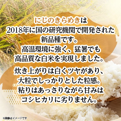 【令和7年産新米】  にじのきらめき 10kg 精米 茨城県産 お米 マイスター厳選