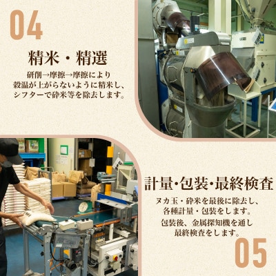 【令和7年産新米】  にじのきらめき 10kg 精米 茨城県産 お米 マイスター厳選