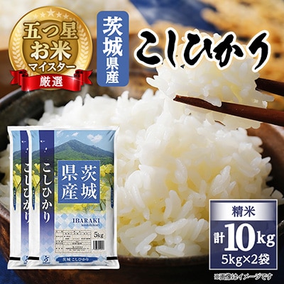 【令和7年産】 こしひかり 10kg 精米 茨城県産  お米 マイスター厳選